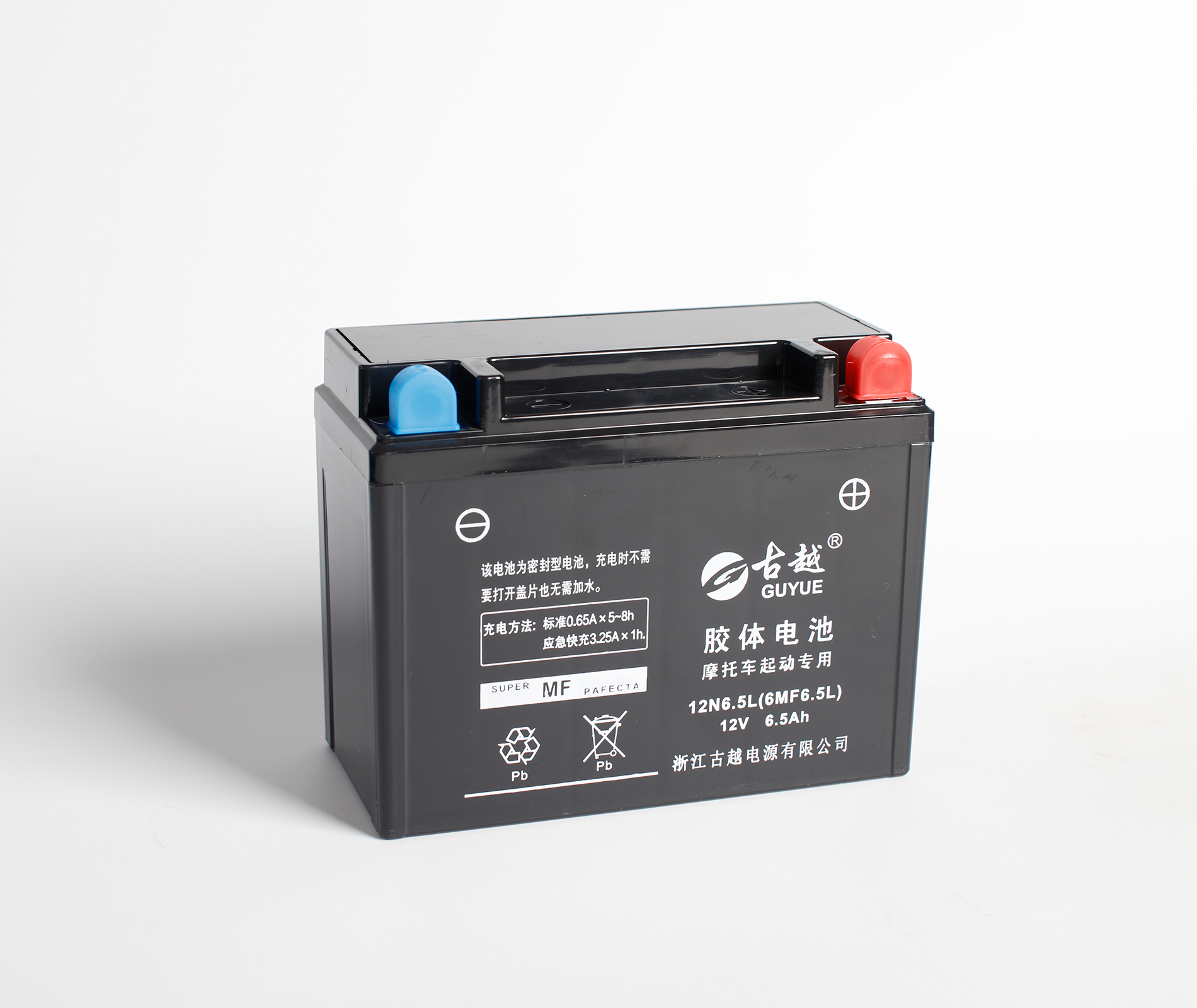 膠體摩托車電池 6MF6.5L-GEL