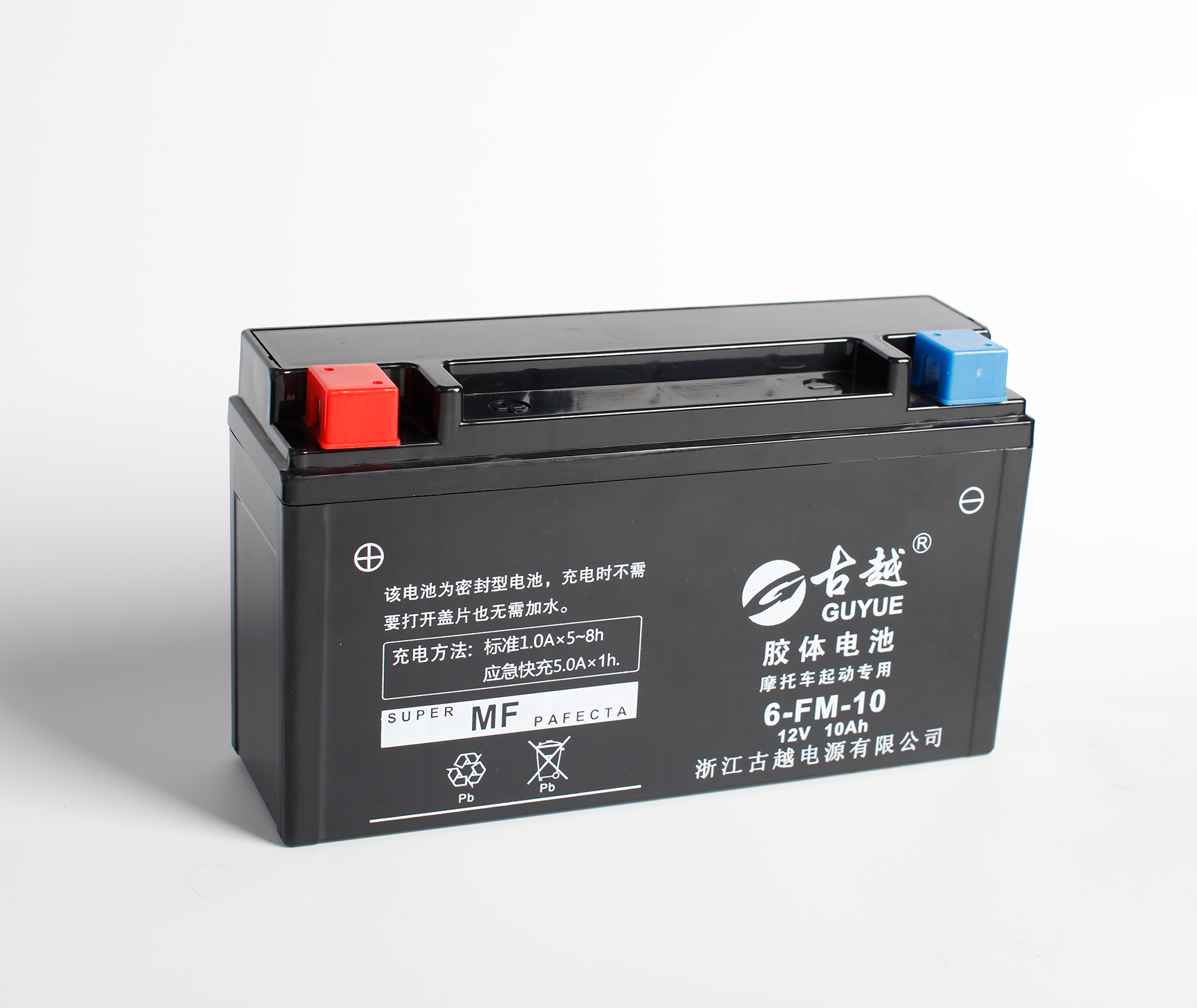 膠體摩托車電池 6FM10 - GEL